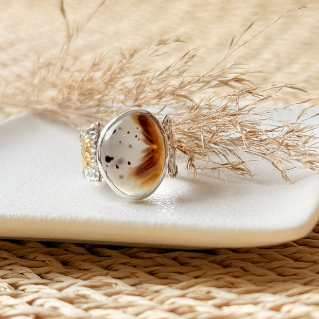 Montana agate 2